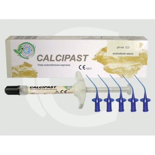 Calcipast - Hidroxid de Calciu pentru obturatii provizorii de canal 2.1 g